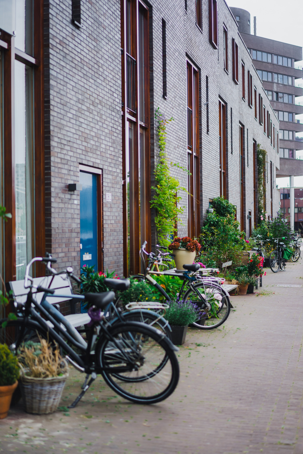 Nederlandse woonwijk met energiegemeenschap